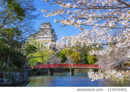 Himeji Castle Himeji Castle 113410901