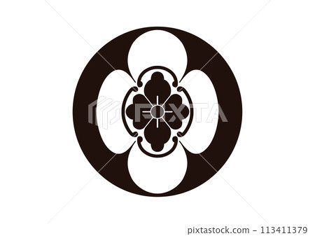 Stone-bearing ground-pulled quince, Hotta family quince Stone-bearing ground-pulled quince, Hotta family quince 113411379