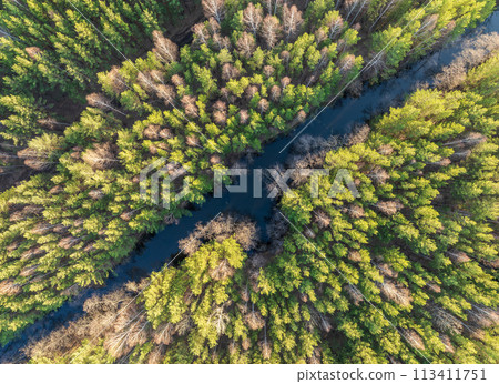 Spring or autumn lake in forest. Aerial view of lake in spring or autumn Spring or autumn lake in forest. Aerial view of lake in spring or autumn 113411751