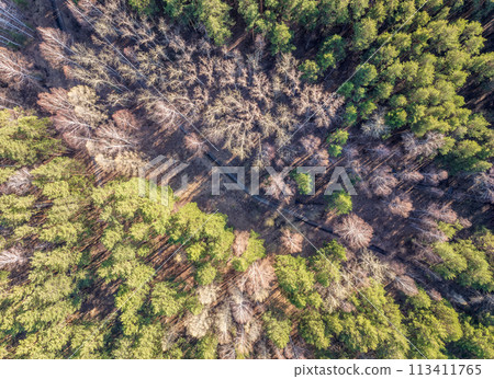 Aerial drone view of stunning colorful autumn fall forest. Aerial drone view of stunning colorful autumn fall forest. 113411765