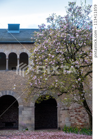 Trier, Rijnland-Palts, Germany, 23th of March, 2024, Spring Blossoms in Courtyard of Historical Trier, Rijnland-Palts, Germany, 23th of March, 2024, Spring Blossoms in Courtyard of Historical 113411859