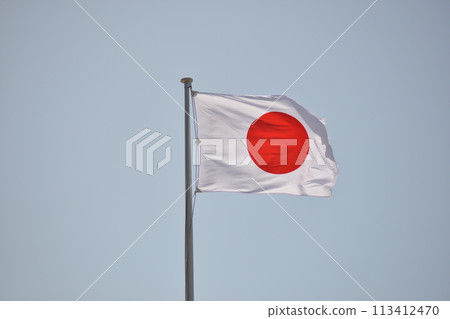 向日葵旗幟在風中飄揚 113412470