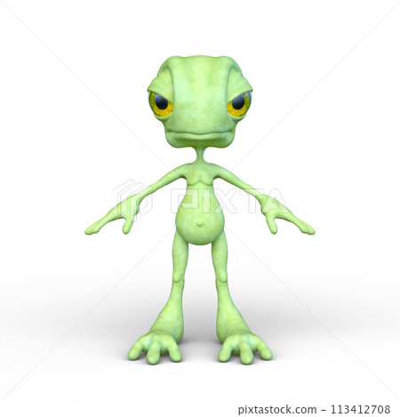 Frog fairy 113412708