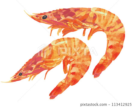 2 red prawns 2 red prawns 113412925