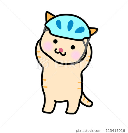 一隻面向前方站立的貓即將戴上藍色頭盔 一隻面向前方站立的貓即將戴上藍色頭盔 113413016