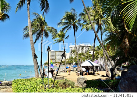 Holidays in Hawaii 113413032