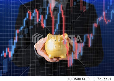 Image of finance 113413543