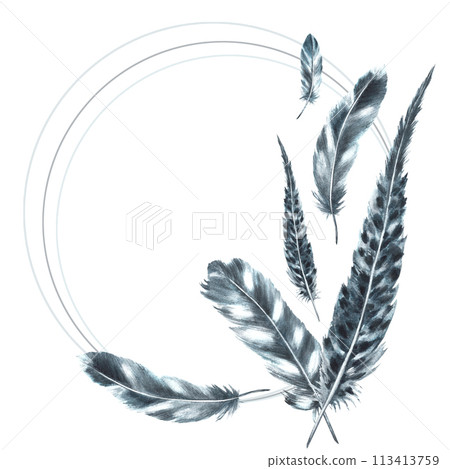 Gray, black feathers real bird wings bundle. Watercolor grey quill monochrome wreath. Hand drawn template illustration. Clipart with natural ornament card, invitation print. Isolated white background 113413759