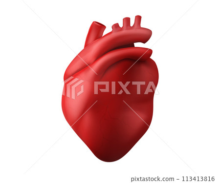 3d anatomy human heart organ medical icon vector 113413816