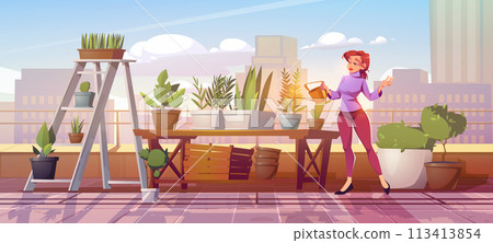 Woman watering plants in rooftop garden 113413854