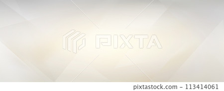 豪華抽象白色背景 113414061