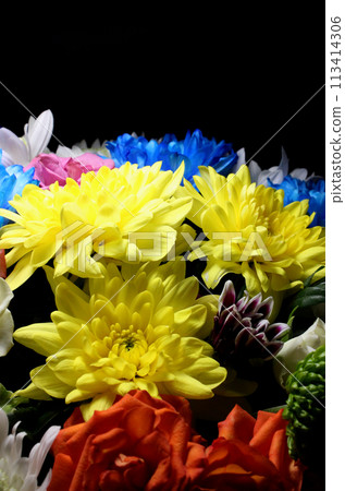 Bouquet of multicolored chrysanthemums and roses in dark with light from above vertical background Bouquet of multicolored chrysanthemums and roses in dark with light from above vertical background 113414306