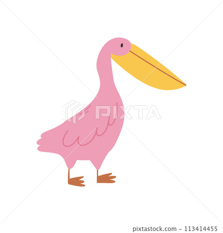 Pink pelican isolated on white background. Pelican vector illustration. Cute exotic bird. 113414455