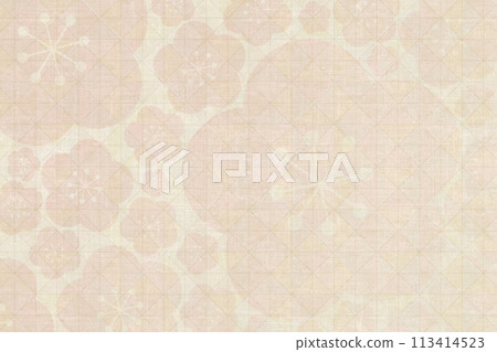 粗糙的日本紙上的梅花插畫設計 粗糙的日本紙上的梅花插畫設計 113414523