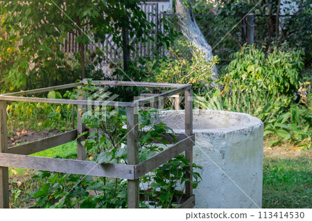 Rural scene in country house farmland. Black currant bush grows in fenced area. Cottage core aesthetic. Locally grown organic private agriculture Greenery Rural scene in country house farmland. Black currant bush grows in fenced area. Cottage core aesthetic. Locally grown organic private agriculture Greenery 113414530