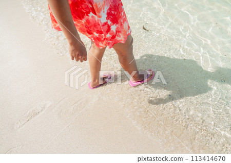 Walking and relaxing on the beach 113414670