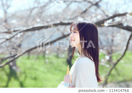 一個女人沿著櫻花樹河床散步 113414768