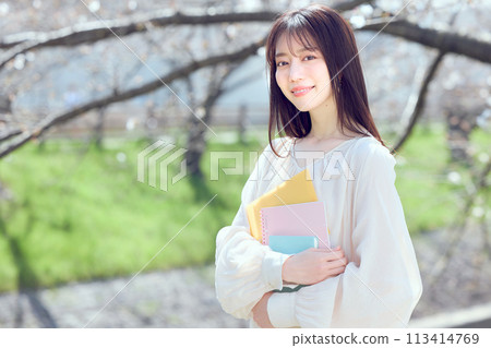 A woman walking along a riverbed of cherry blossom trees 113414769