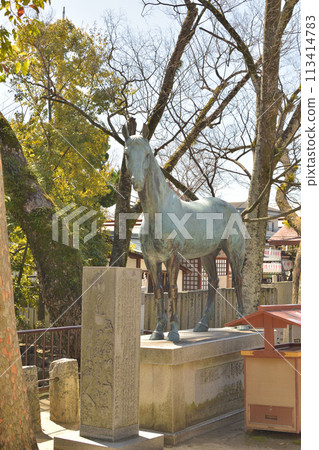 Ishiruti神社 Ishiruti神社 113414783