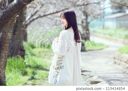 A woman walking along a riverbed of cherry blossom trees 113414854