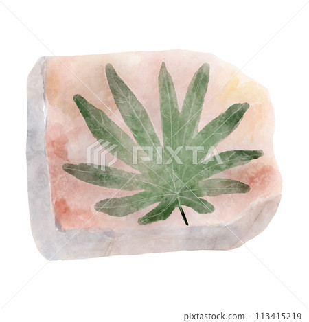 Fossil of plant in rock . Watercolor paint design . Vector . 113415219