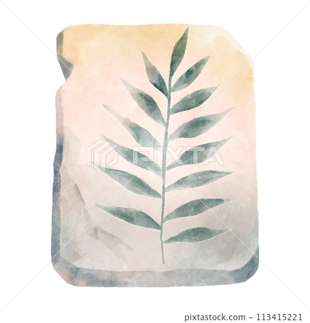 Fossil of plant in rock . Watercolor paint design . Vector . 113415221