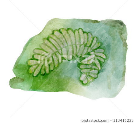 Fossil of plant in rock . Watercolor paint design . Vector . 113415223