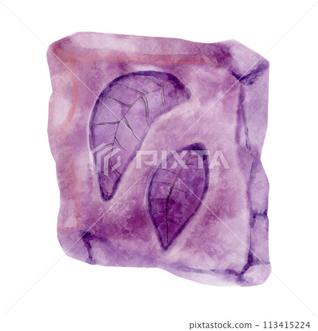 Fossil of plant in rock . Watercolor paint design . Vector . Fossil of plant in rock . Watercolor paint design . Vector . 113415224