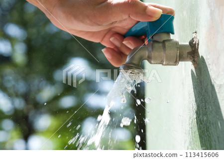 Woman's hand, she opened the faucet, watering the trees, blurred background, natural green. 113415606