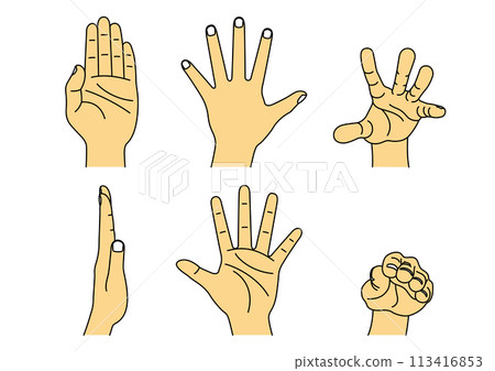 各種姿勢的手的插圖 113416853