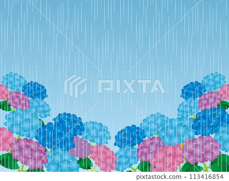 繡球花，雨，天空 4 113416854