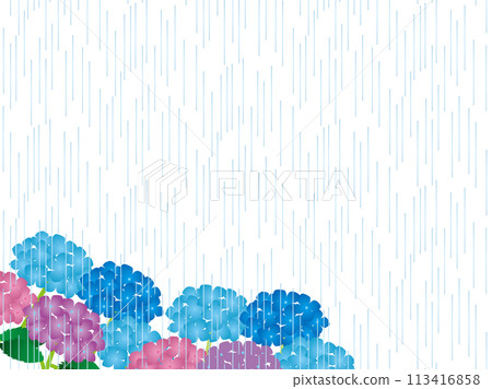 Hydrangea, Rain 2 113416858