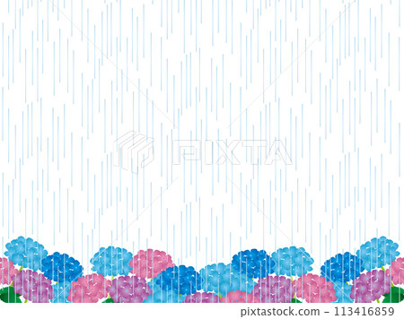 Hydrangea, Rain 3 113416859