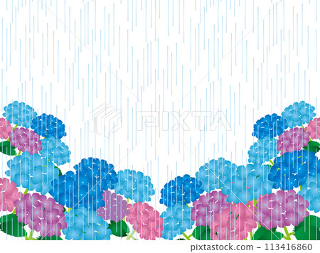 Hydrangea, Rain 4 Hydrangea, Rain 4 113416860