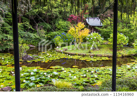千葉縣大陸寺風景 千葉縣大陸寺風景 113416960