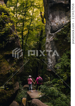 couple tourists hiking at canyon in the forest 113417056