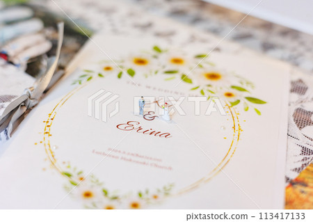 可愛的婚禮新娘和新郎的婚紗、結婚、新娘形象照 可愛的婚禮新娘和新郎的婚紗、結婚、新娘形象照 113417133