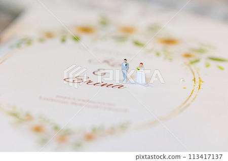 Cute wedding bride and groom wedding dress, marriage, bridal image photo Cute wedding bride and groom wedding dress, marriage, bridal image photo 113417137