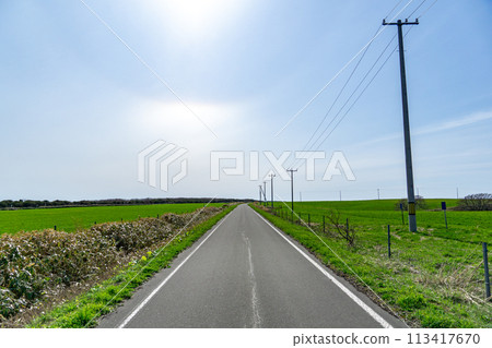 矢尻島愉快的筆直道路 113417670