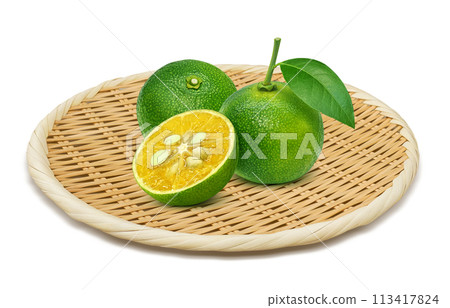 Shikuwasa illustration realistic white background Shikuwasa illustration realistic white background 113417824