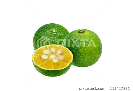 Shikuwasa illustration realistic white background Shikuwasa illustration realistic white background 113417825