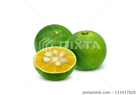 Shikuwasa illustration realistic white background Shikuwasa illustration realistic white background 113417826