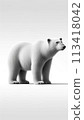 Polar bear looking sideways 113418042