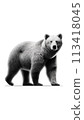 Walking brown bear 113418045