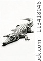 Lying Crocodile 113418046