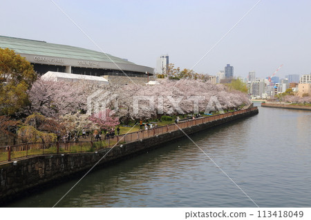 特別史蹟 大阪城公園賞櫻<大阪城大廳> 特別史蹟 大阪城公園賞櫻<大阪城大廳> 113418049