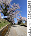 Cherry blossoms in Hōdatsushimizu Town 113418263