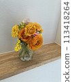 A flower in a vase 113418264