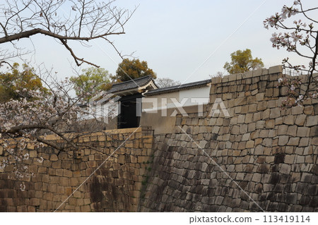 Special Historic Site: Cherry Blossom Viewing at Osaka Castle Park 113419114
