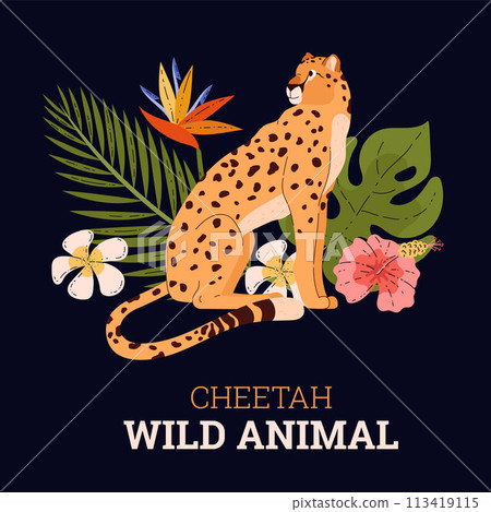 Vector illustration with cheetah, monstera and fern, as well as exotic flowers on a black background. 113419115